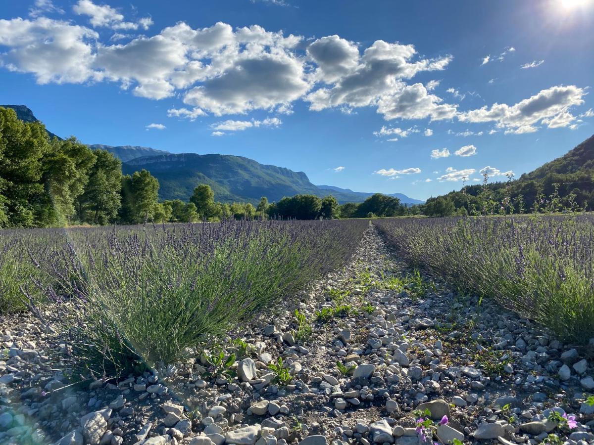 Gite En Haute Provence Montfroc Exterior foto
