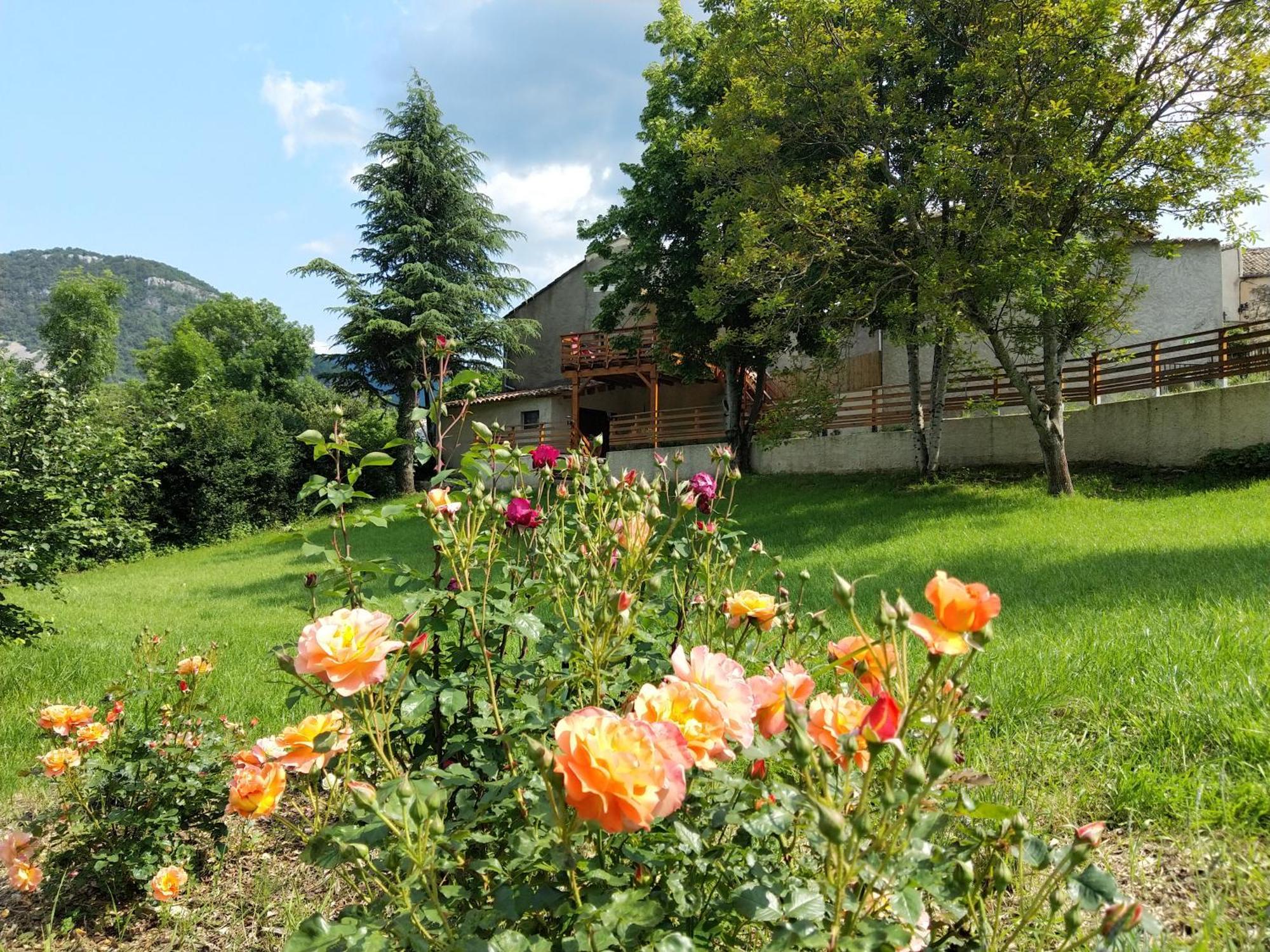 Gite En Haute Provence Montfroc Exterior foto